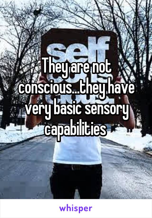 They are not conscious...they have very basic sensory capabilities 
