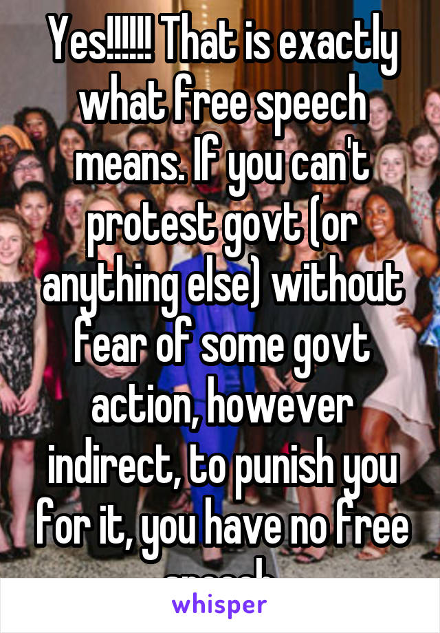 Yes!!!!!! That is exactly what free speech means. If you can't protest govt (or anything else) without fear of some govt action, however indirect, to punish you for it, you have no free speech.