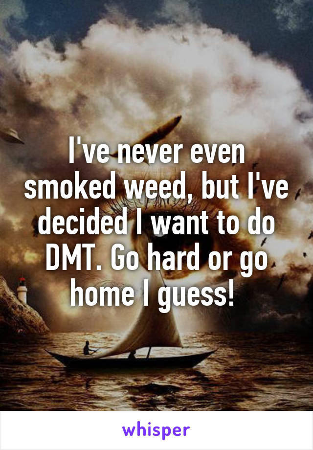 I've never even smoked weed, but I've decided I want to do DMT. Go hard or go home I guess! 