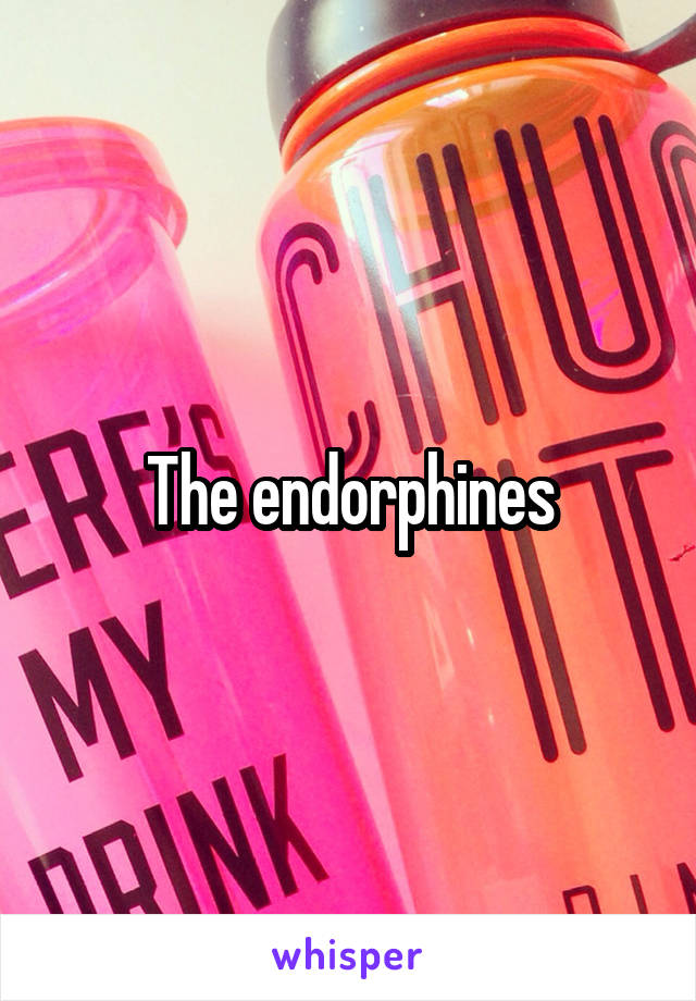 The endorphines