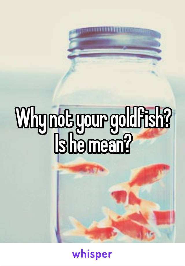 Why not your goldfish? Is he mean?