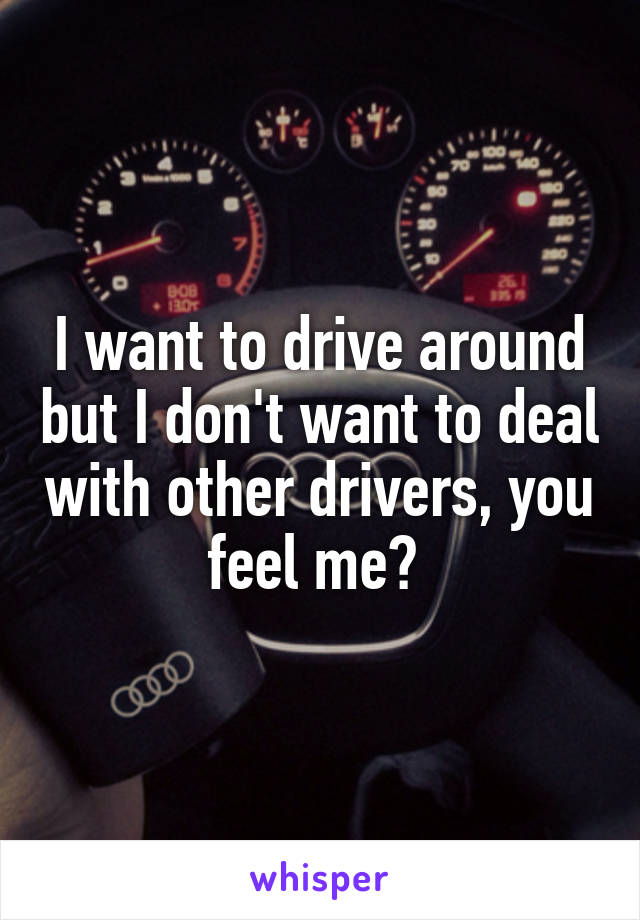 I want to drive around but I don't want to deal with other drivers, you feel me? 