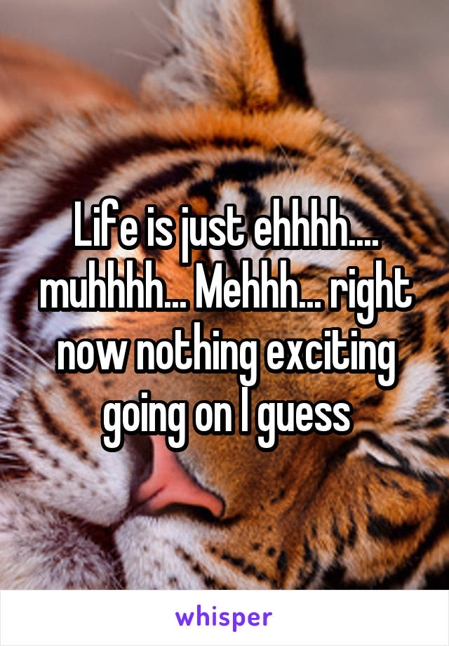 Life is just ehhhh.... muhhhh... Mehhh... right now nothing exciting going on I guess