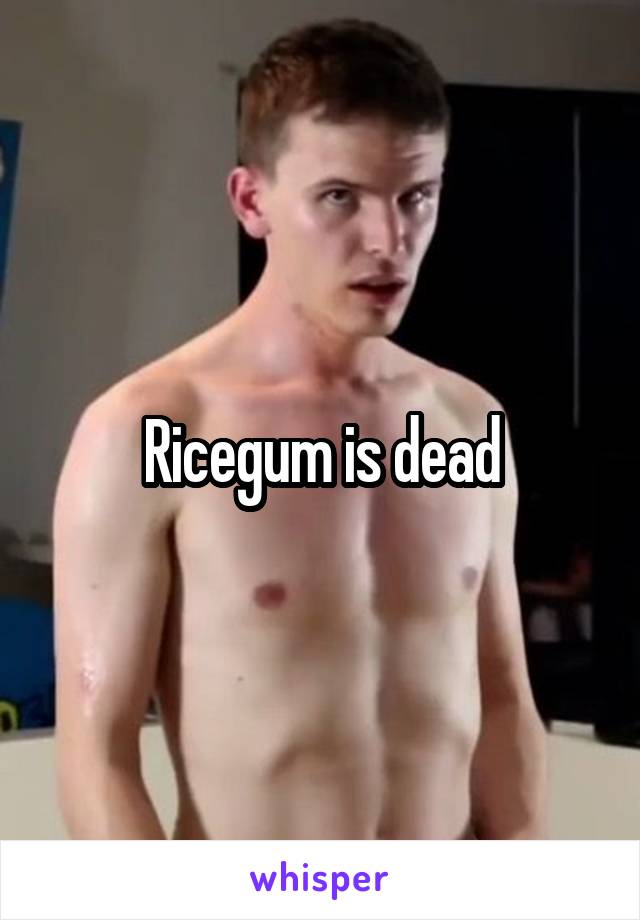 Ricegum is dead