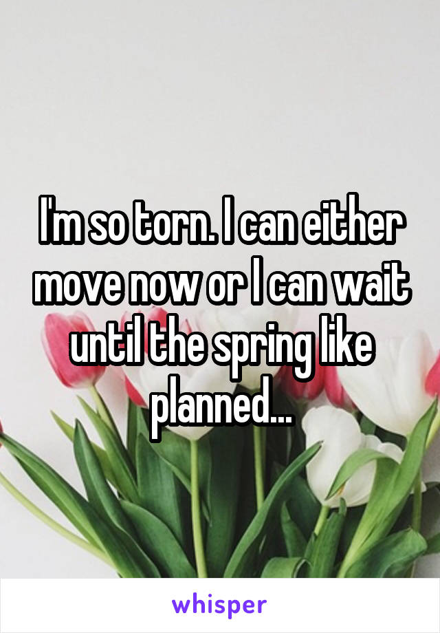 I'm so torn. I can either move now or I can wait until the spring like planned...