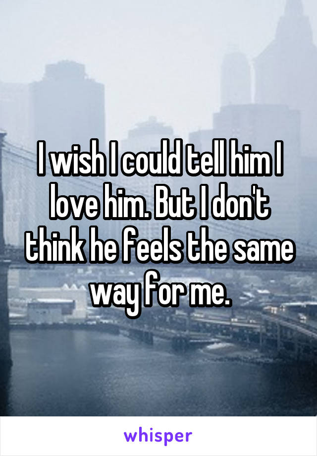 I wish I could tell him I love him. But I don't think he feels the same way for me.