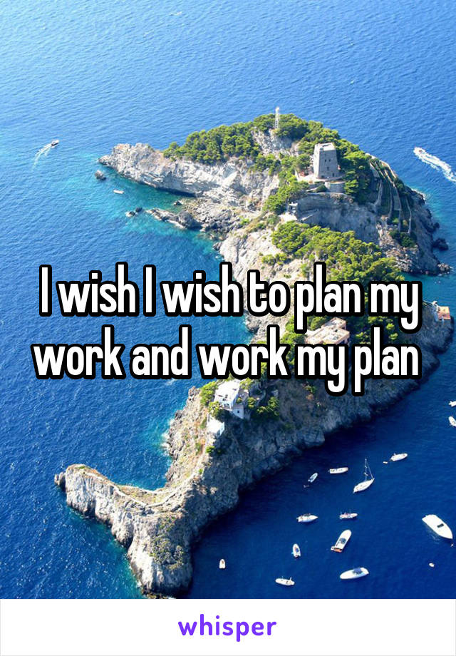 I wish I wish to plan my work and work my plan 