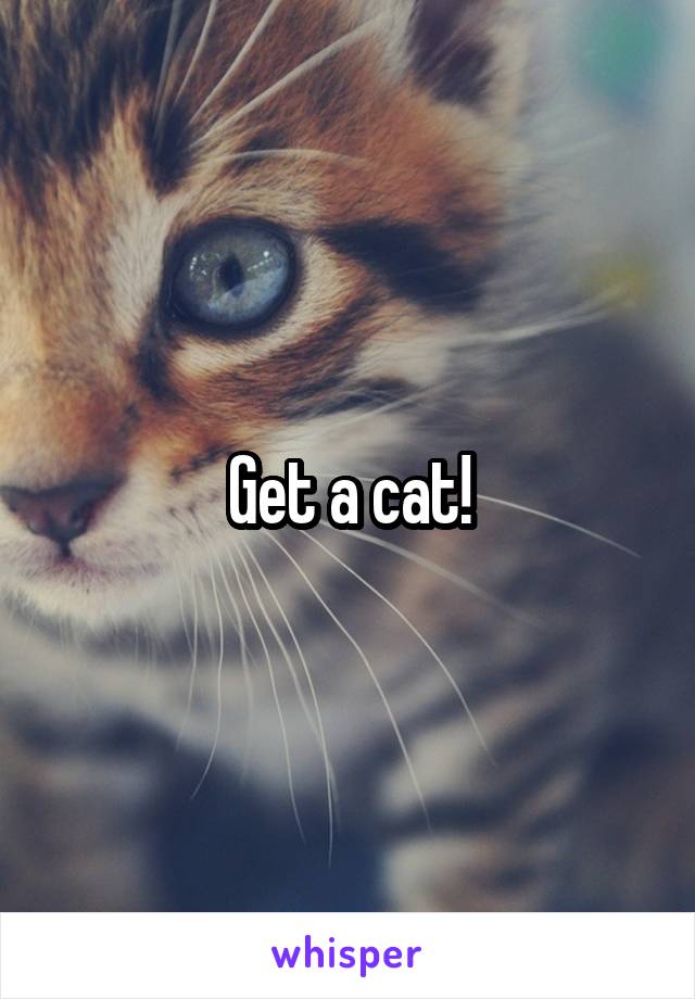 Get a cat!