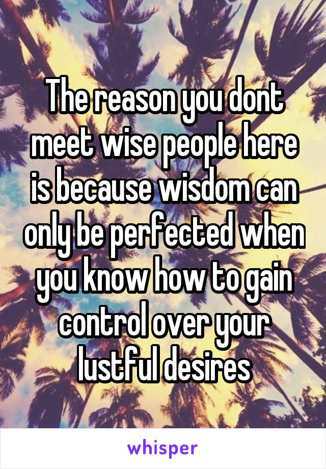 The reason you dont meet wise people here is because wisdom can only be perfected when you know how to gain control over your lustful desires