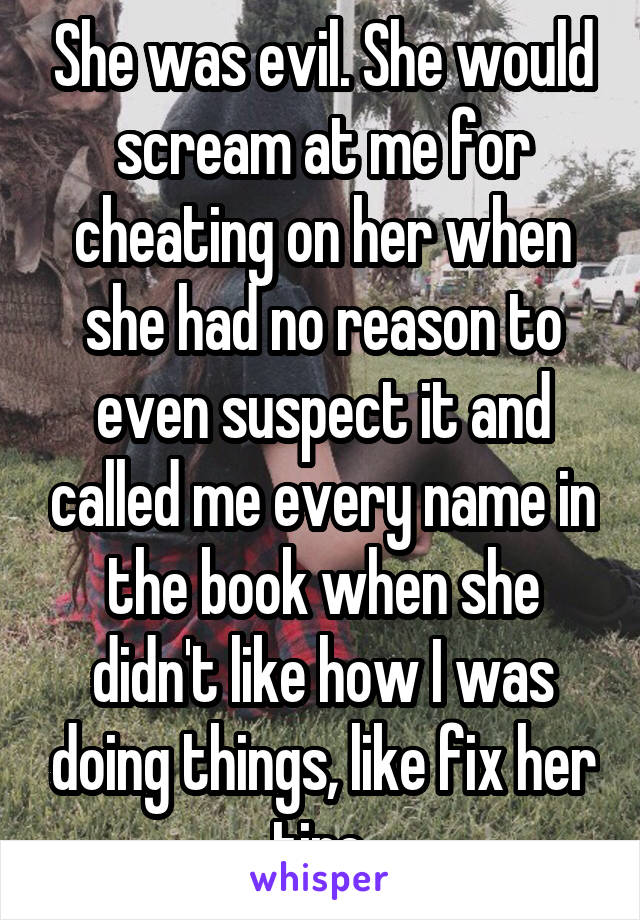 She was evil. She would scream at me for cheating on her when she had no reason to even suspect it and called me every name in the book when she didn't like how I was doing things, like fix her tire.