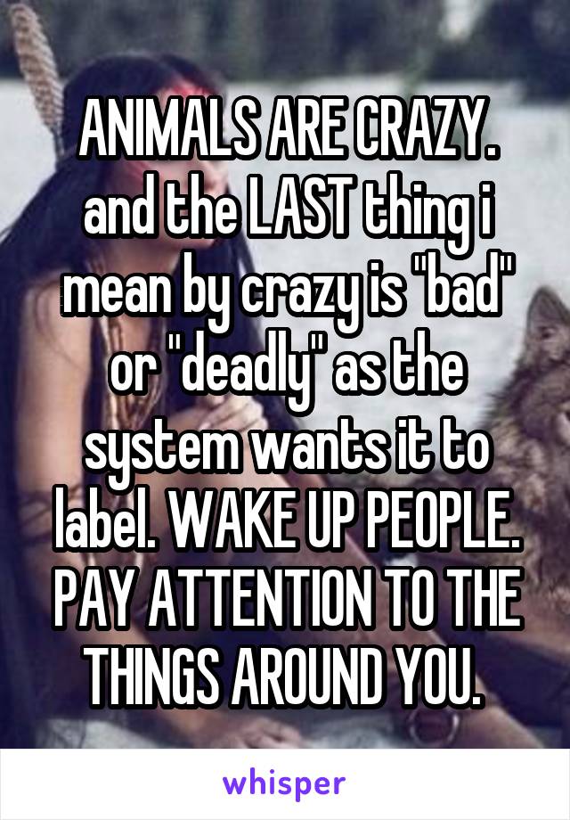 ANIMALS ARE CRAZY.
and the LAST thing i mean by crazy is "bad" or "deadly" as the system wants it to label. WAKE UP PEOPLE. PAY ATTENTION TO THE THINGS AROUND YOU. 