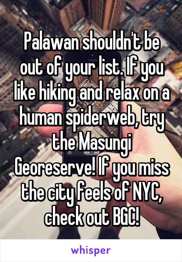 Palawan shouldn't be out of your list. If you like hiking and relax on a human spiderweb, try the Masungi Georeserve! If you miss the city feels of NYC, check out BGC!
