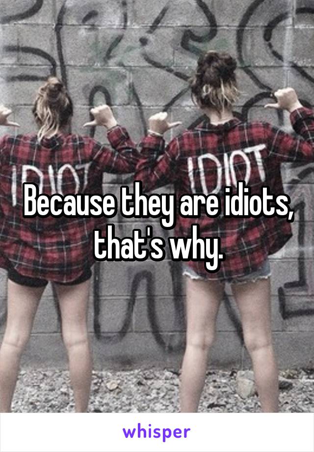 Because they are idiots, that's why.