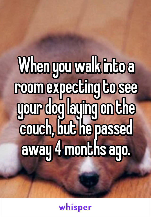 When you walk into a room expecting to see your dog laying on the couch, but he passed away 4 months ago.