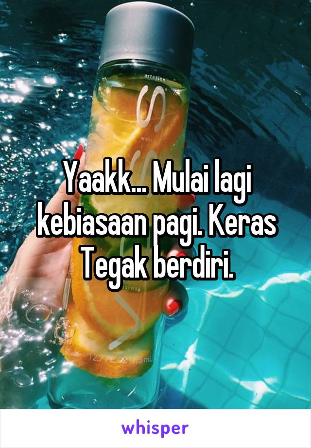 Yaakk... Mulai lagi kebiasaan pagi. Keras Tegak berdiri.