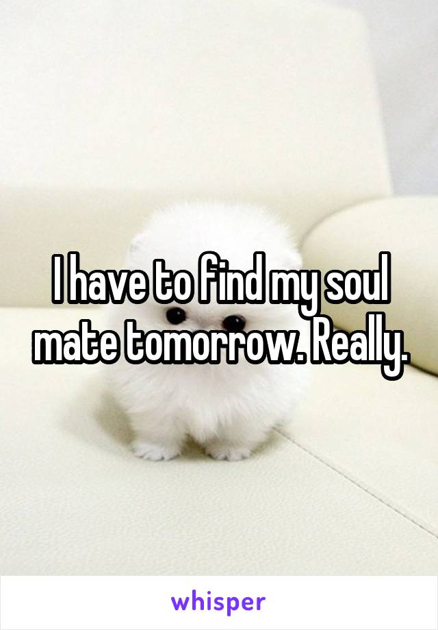 I have to find my soul mate tomorrow. Really.