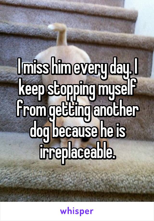 I miss him every day. I keep stopping myself from getting another dog because he is irreplaceable.