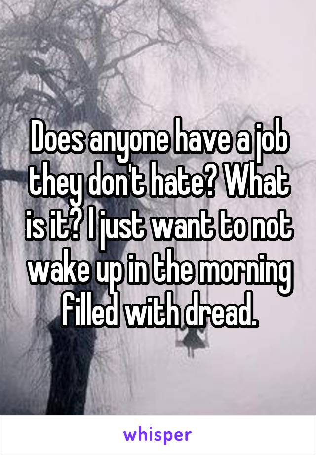 Does anyone have a job they don't hate? What is it? I just want to not wake up in the morning filled with dread.