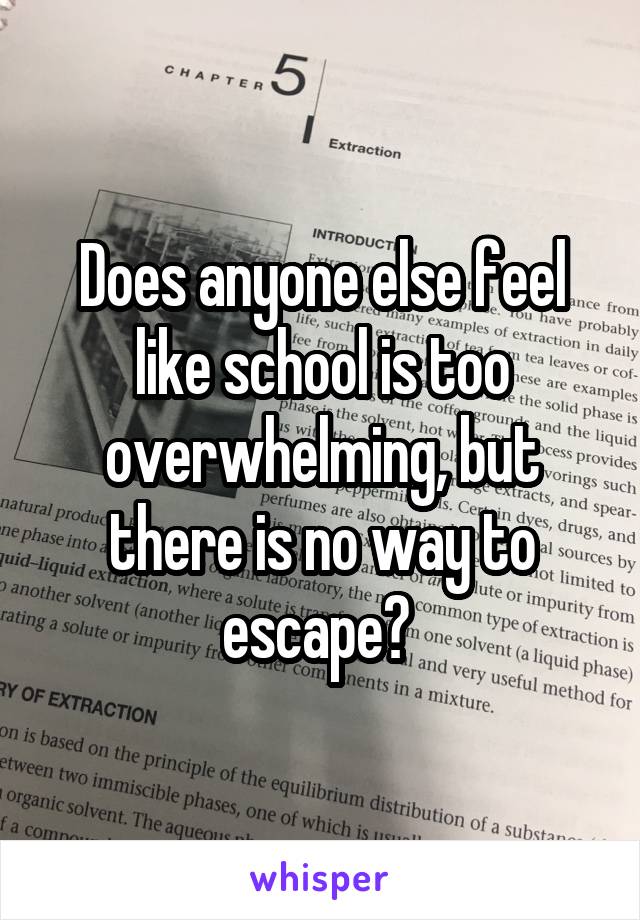 Does anyone else feel like school is too overwhelming, but there is no way to escape? 