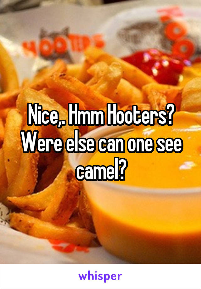 Nice,. Hmm Hooters? Were else can one see camel?