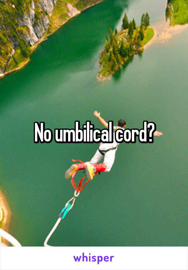 No umbilical cord?