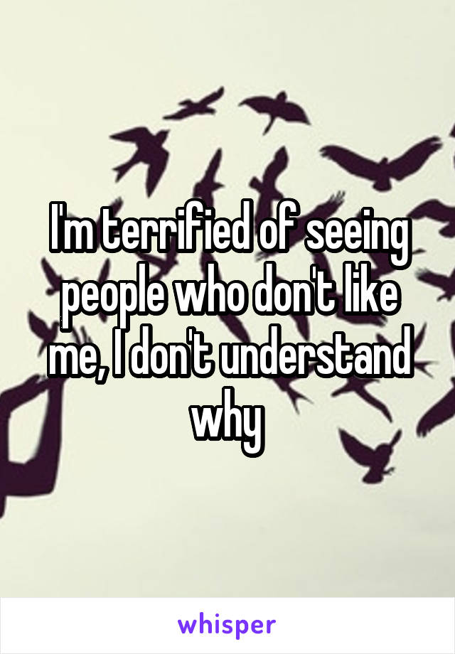 I'm terrified of seeing people who don't like me, I don't understand why 