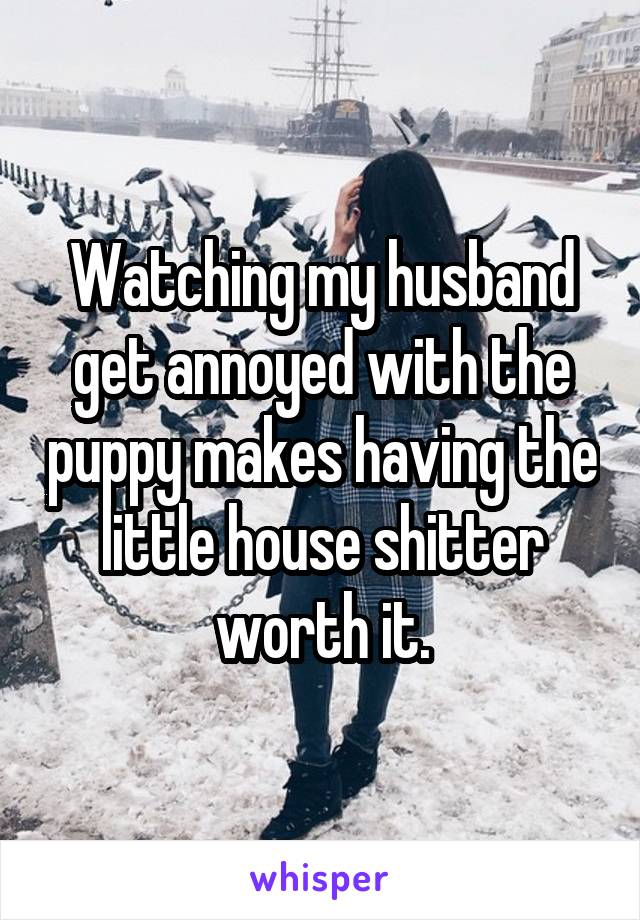 Watching my husband get annoyed with the puppy makes having the little house shitter worth it.