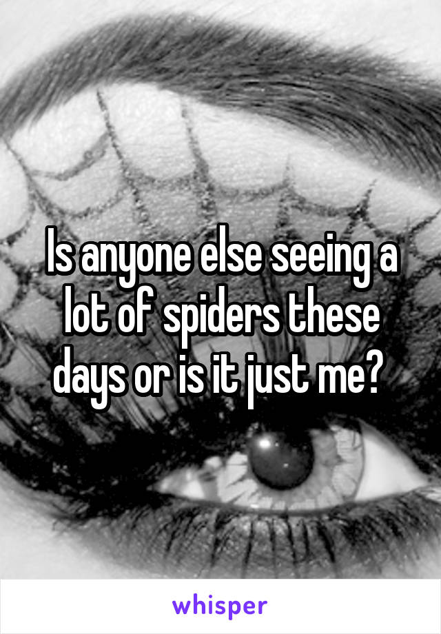 Is anyone else seeing a lot of spiders these days or is it just me? 