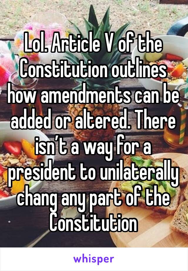 Lol. Article V of the Constitution outlines how amendments can be added or altered. There isn’t a way for a president to unilaterally chang any part of the Constitution 