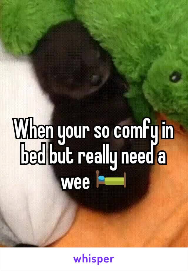 When your so comfy in bed but really need a wee 🛏️