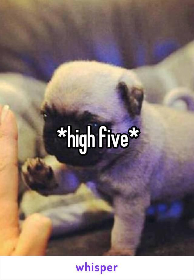 *high five*