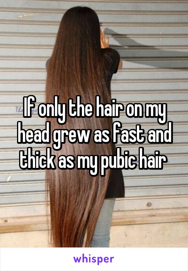 If only the hair on my head grew as fast and thick as my pubic hair 