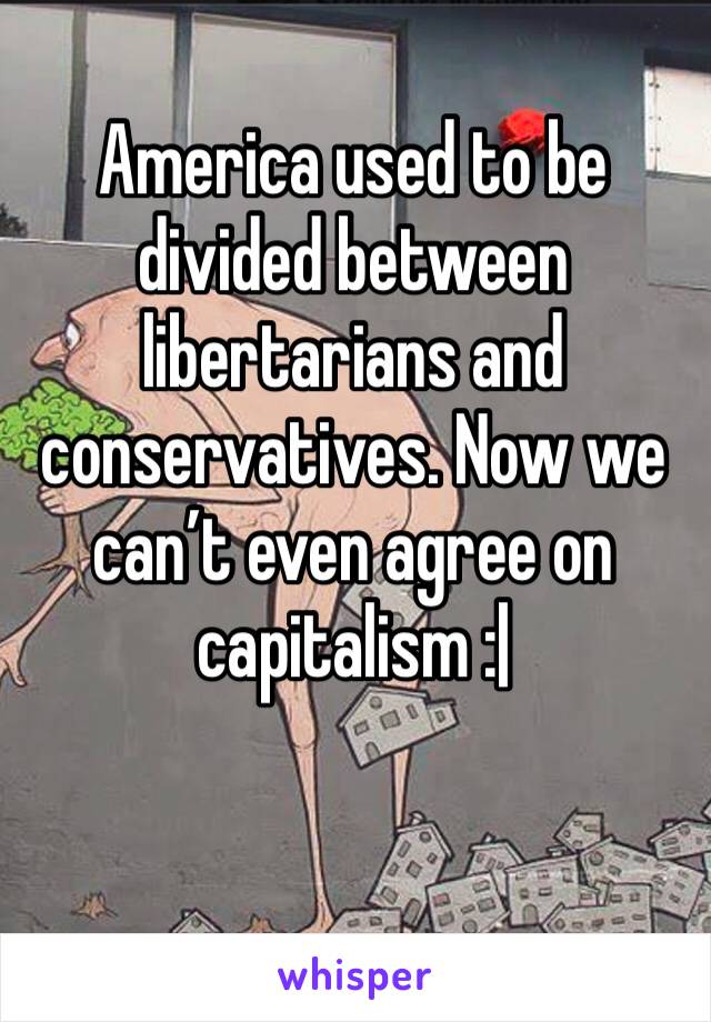 America used to be divided between libertarians and conservatives. Now we can’t even agree on capitalism :|