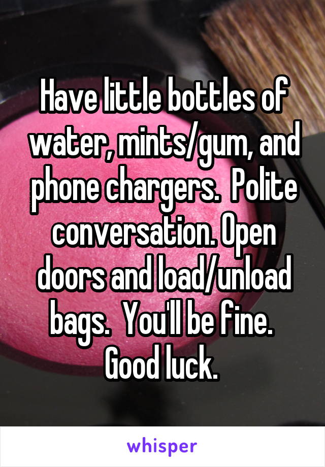 Have little bottles of water, mints/gum, and phone chargers.  Polite conversation. Open doors and load/unload bags.  You'll be fine.  Good luck. 