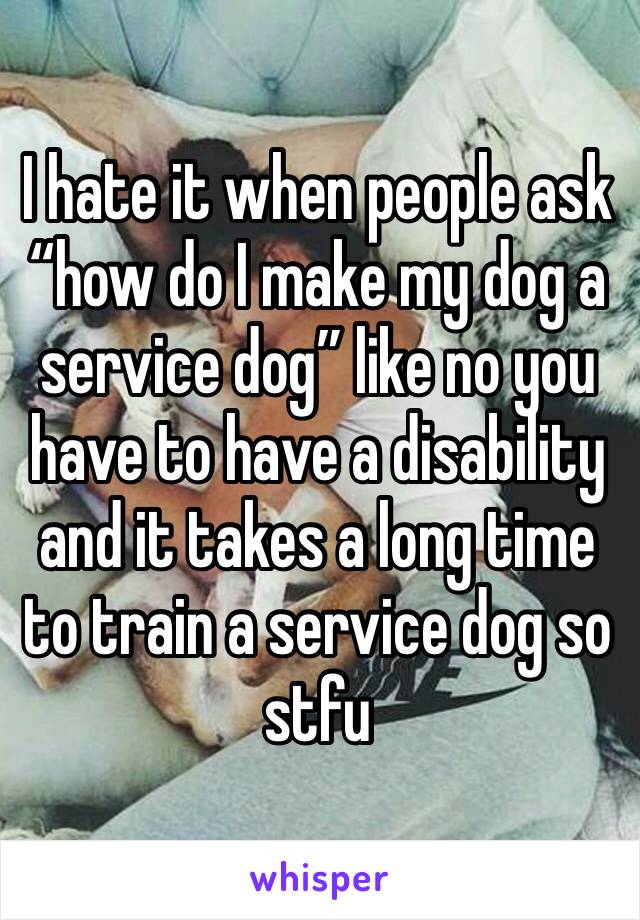 I hate it when people ask “how do I make my dog a service dog” like no you have to have a disability and it takes a long time to train a service dog so stfu 