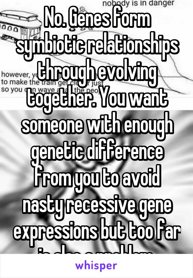 No. Genes form symbiotic relationships through evolving together. You want someone with enough genetic difference from you to avoid nasty recessive gene expressions but too far is also a problem.