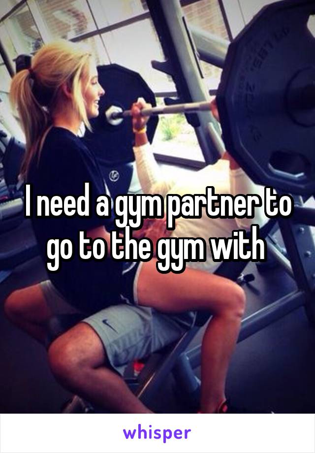 I need a gym partner to go to the gym with 