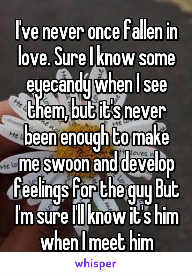 I've never once fallen in love. Sure I know some eyecandy when I see them, but it's never been enough to make me swoon and develop feelings for the guy But I'm sure I'll know it's him when I meet him