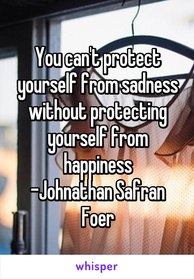 You can't protect yourself from sadness without protecting yourself from happiness
-Johnathan Safran Foer