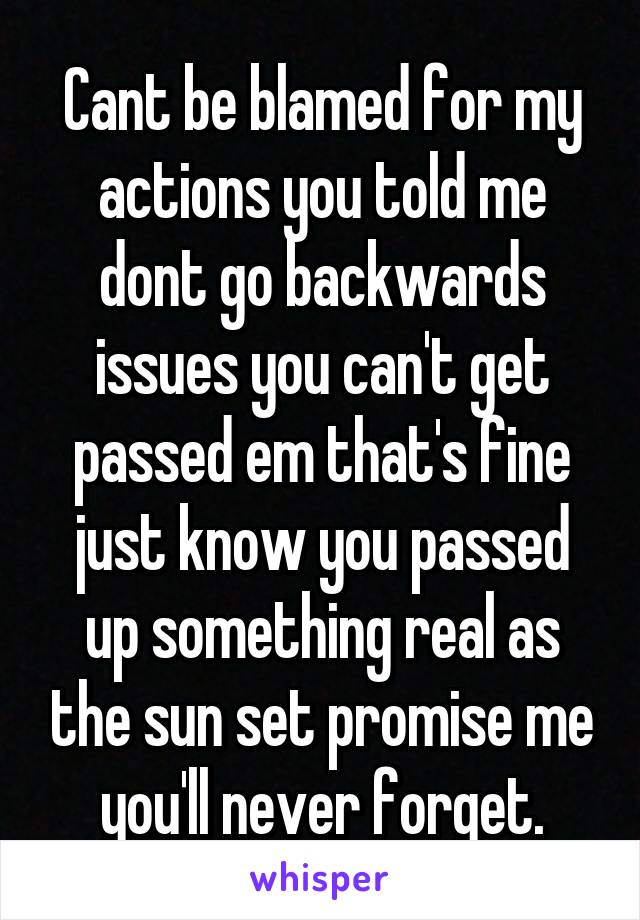 Cant be blamed for my actions you told me dont go backwards issues you can't get passed em that's fine just know you passed up something real as the sun set promise me you'll never forget.