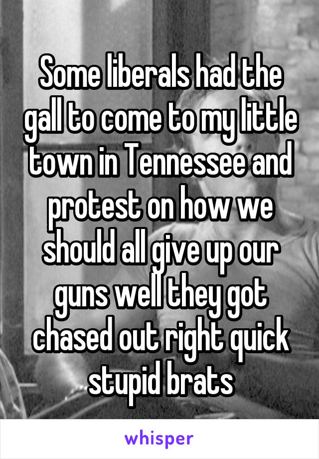 Some liberals had the gall to come to my little town in Tennessee and protest on how we should all give up our guns well they got chased out right quick stupid brats