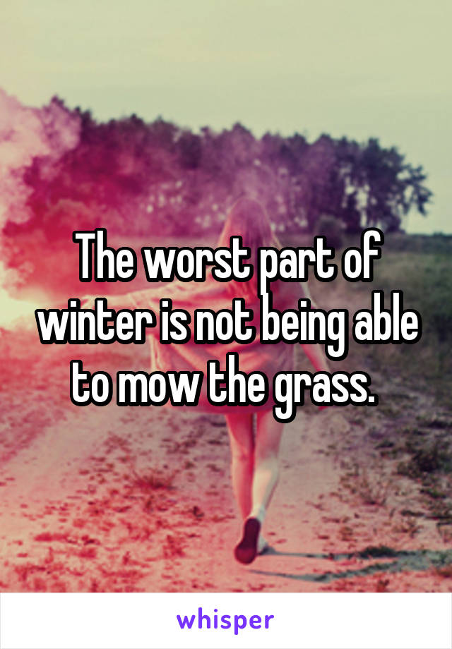 The worst part of winter is not being able to mow the grass. 