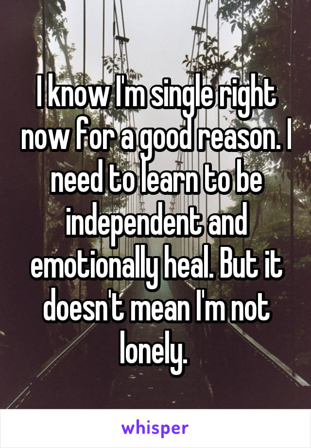 I know I'm single right now for a good reason. I need to learn to be independent and emotionally heal. But it doesn't mean I'm not lonely. 