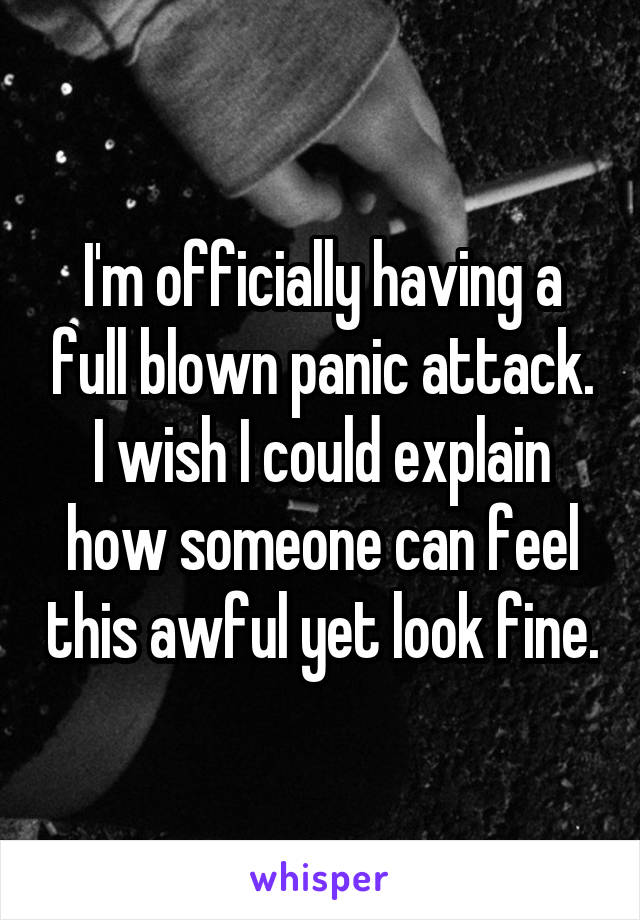 I'm officially having a full blown panic attack. I wish I could explain how someone can feel this awful yet look fine.