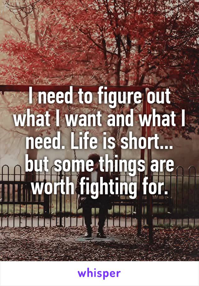 I need to figure out what I want and what I need. Life is short... but some things are worth fighting for.