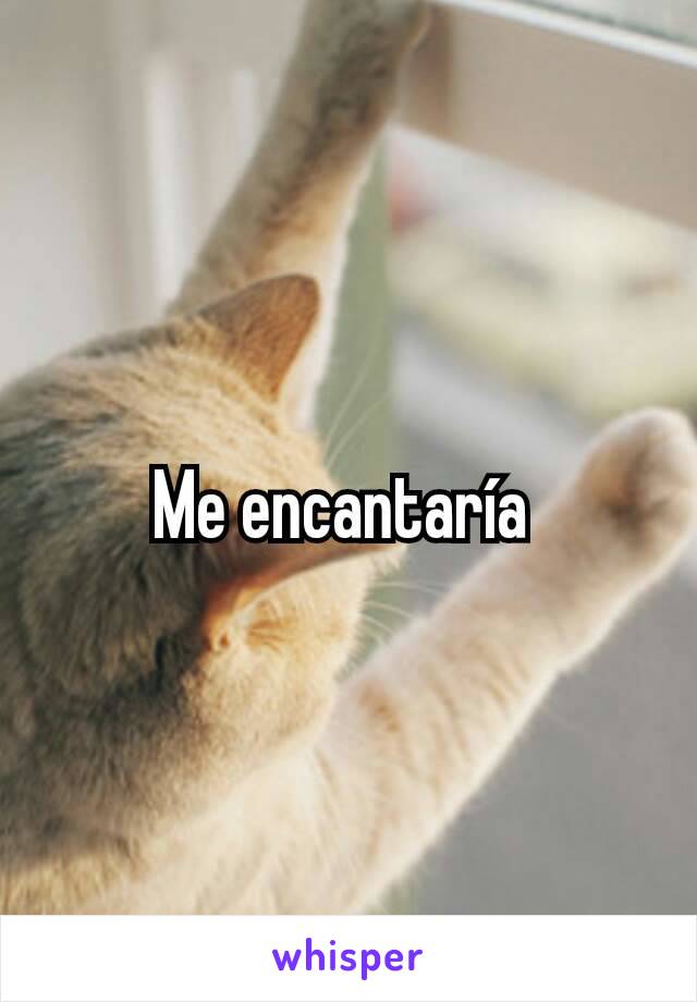 Me encantaría 