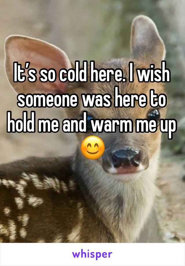 It’s so cold here. I wish someone was here to hold me and warm me up 😊