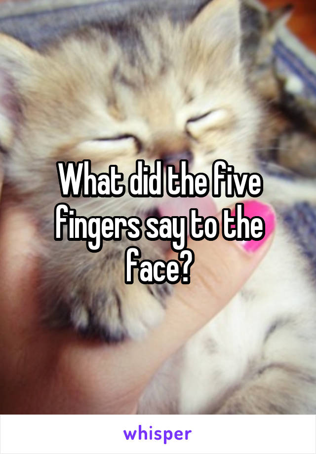 What did the five fingers say to the face?