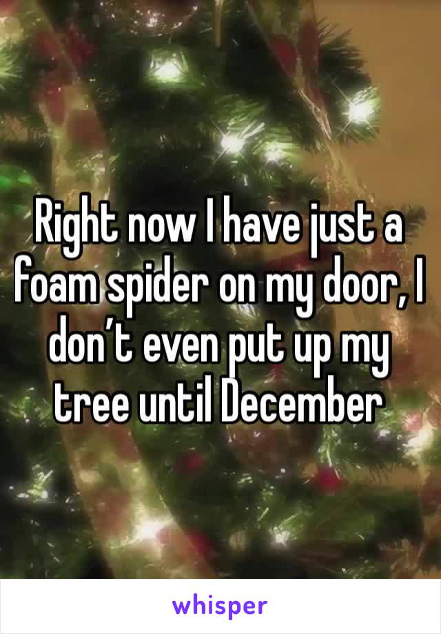 Right now I have just a foam spider on my door, I don’t even put up my tree until December