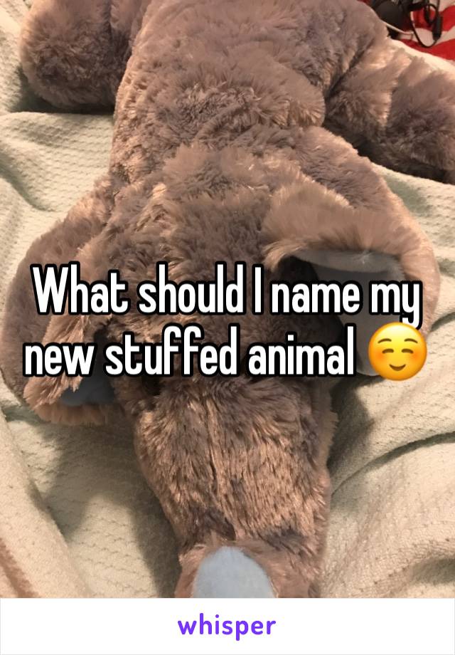 What should I name my new stuffed animal ☺️